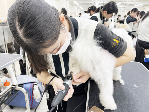 今年最後の登校日！